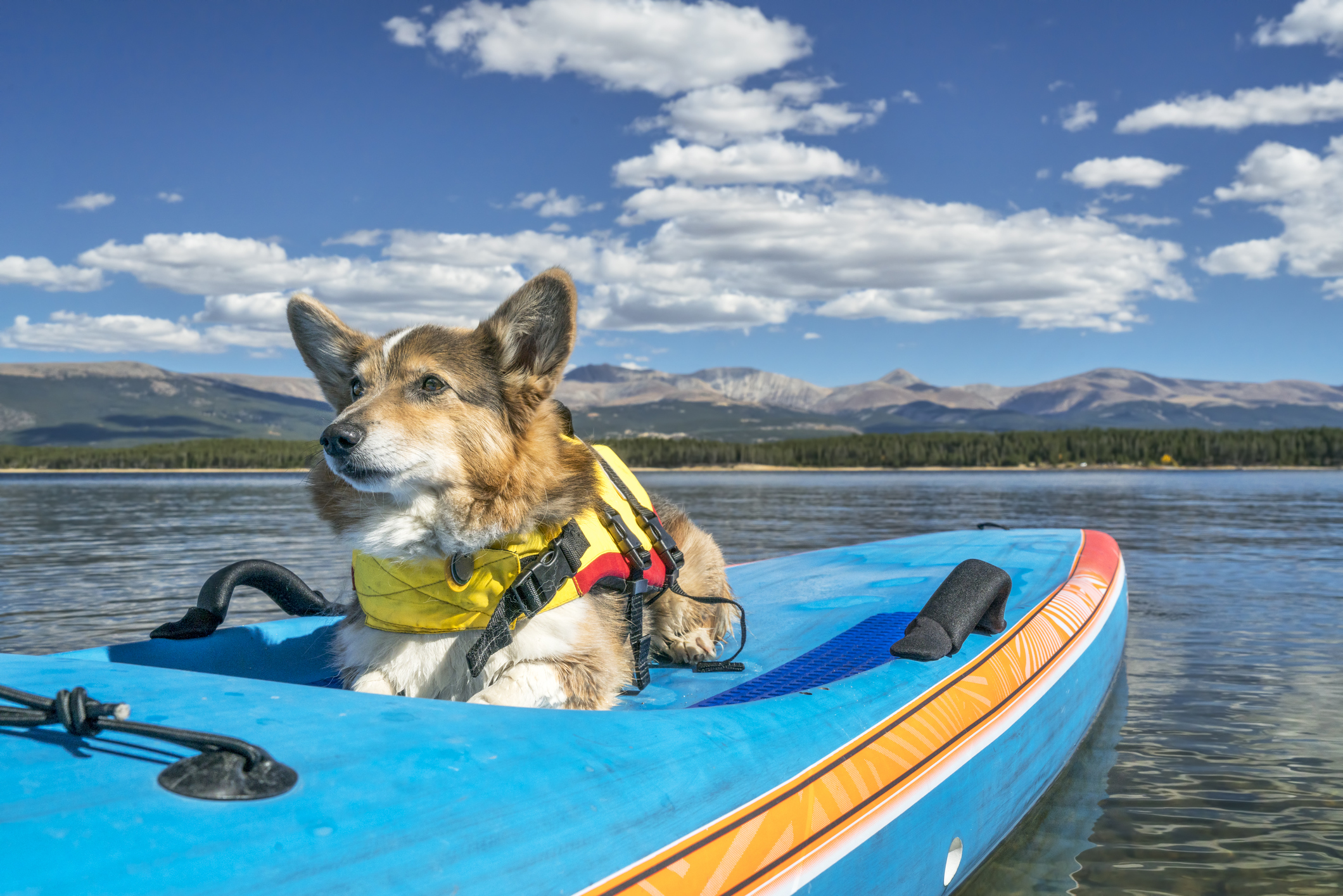 Dog Friendly Leadville, CO