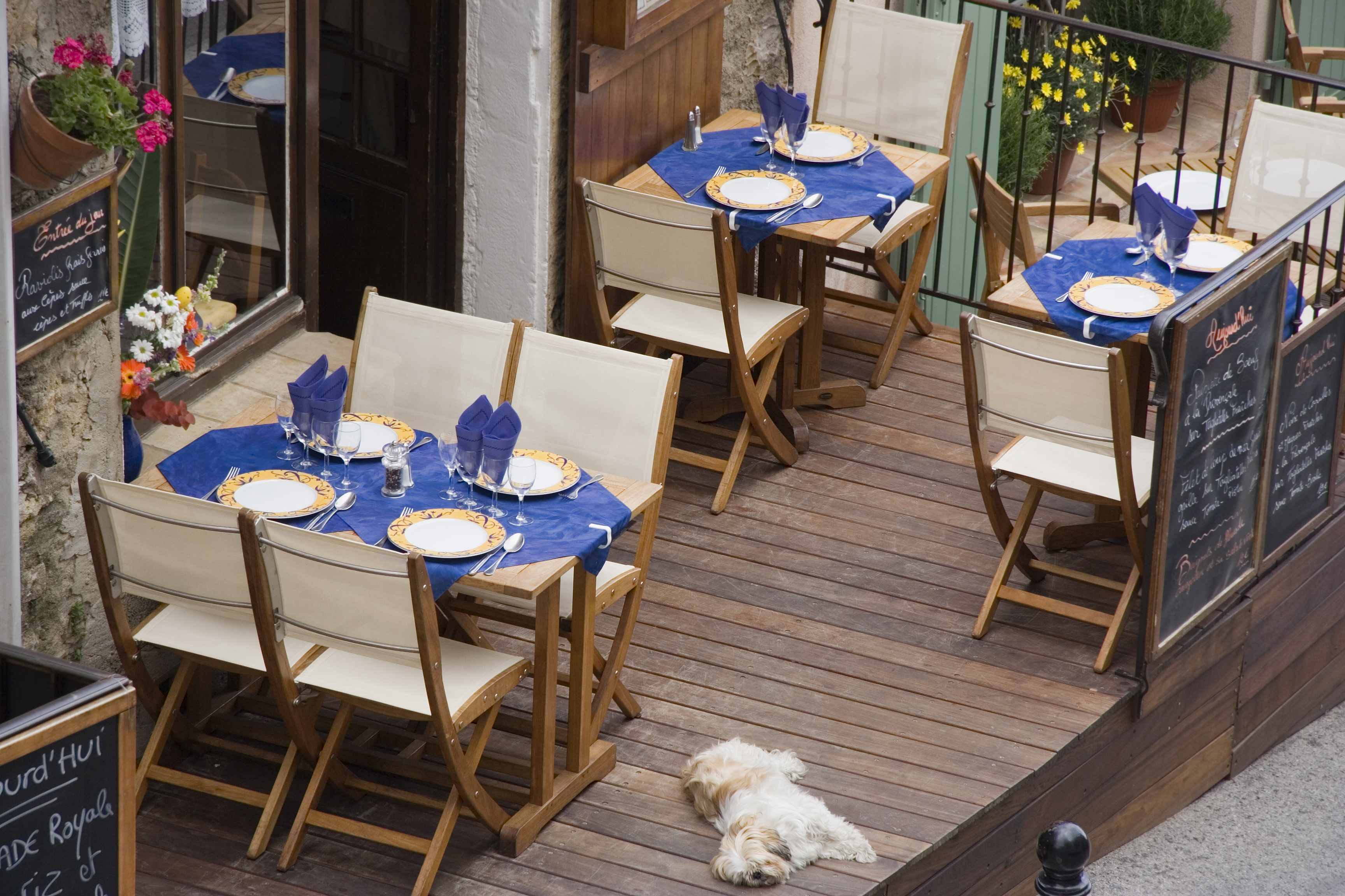 Dog Friendly Ramatuelle, FR