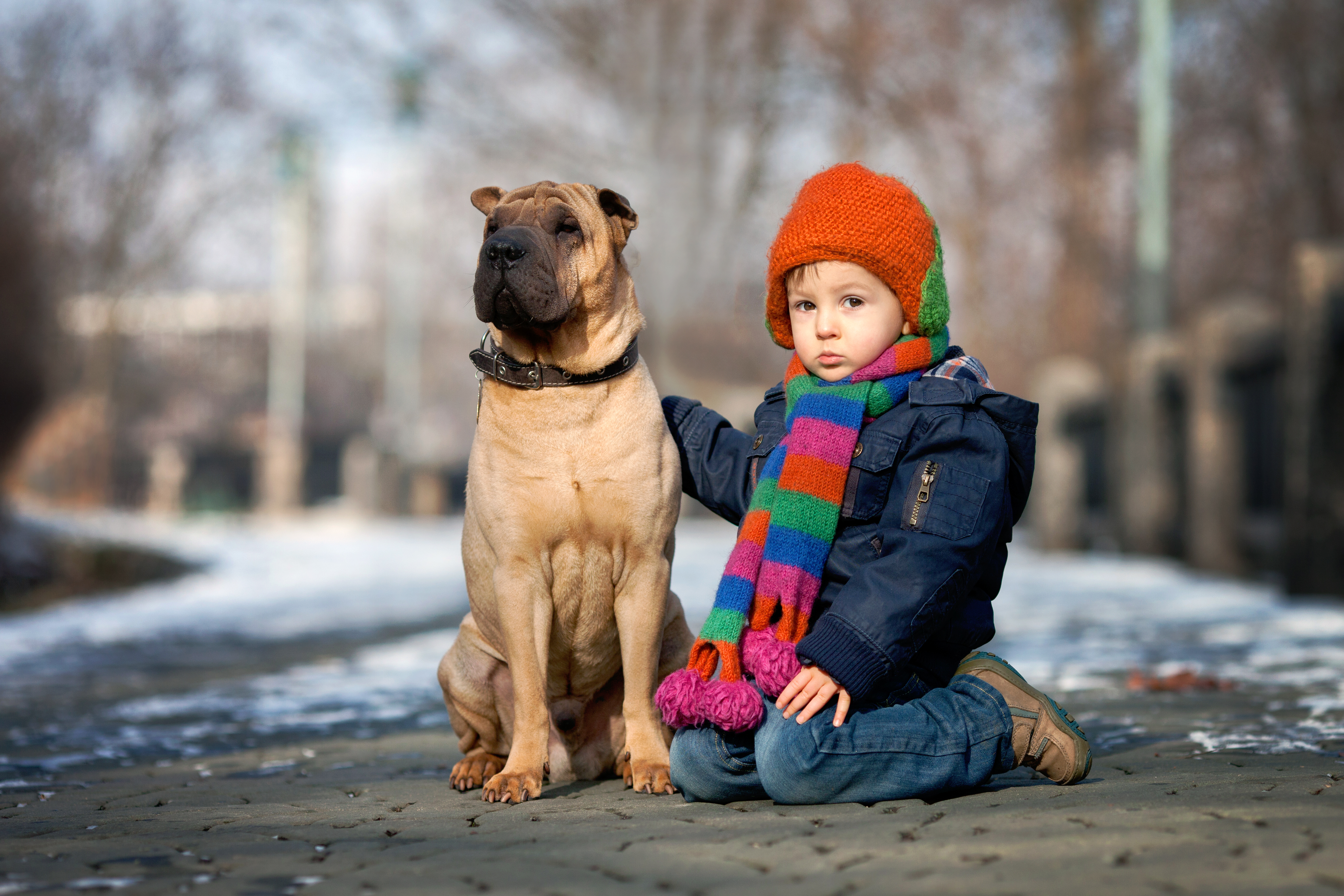Dog Friendly Prince Edward, ON
