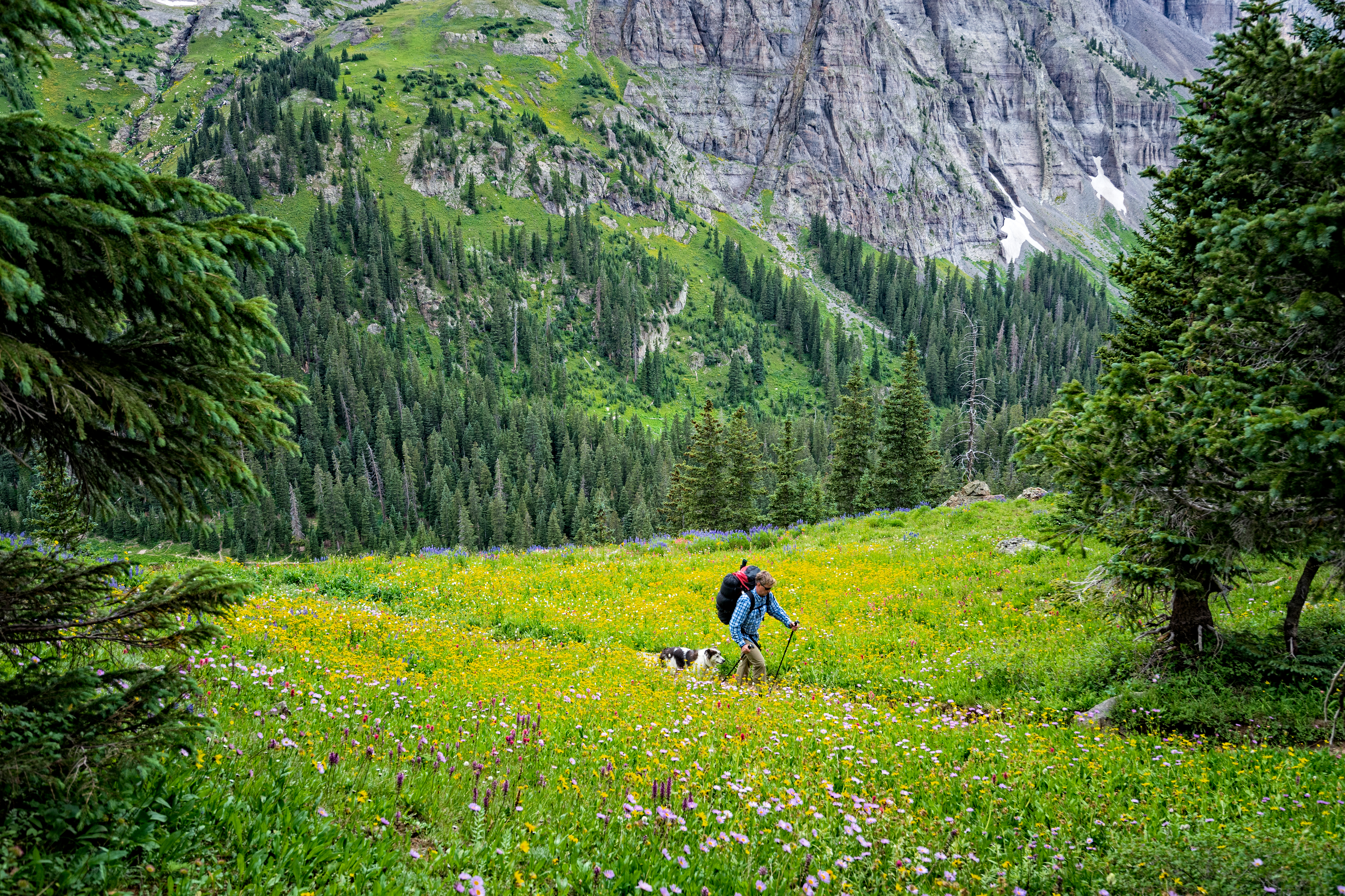 Dog Friendly Ridgway, CO