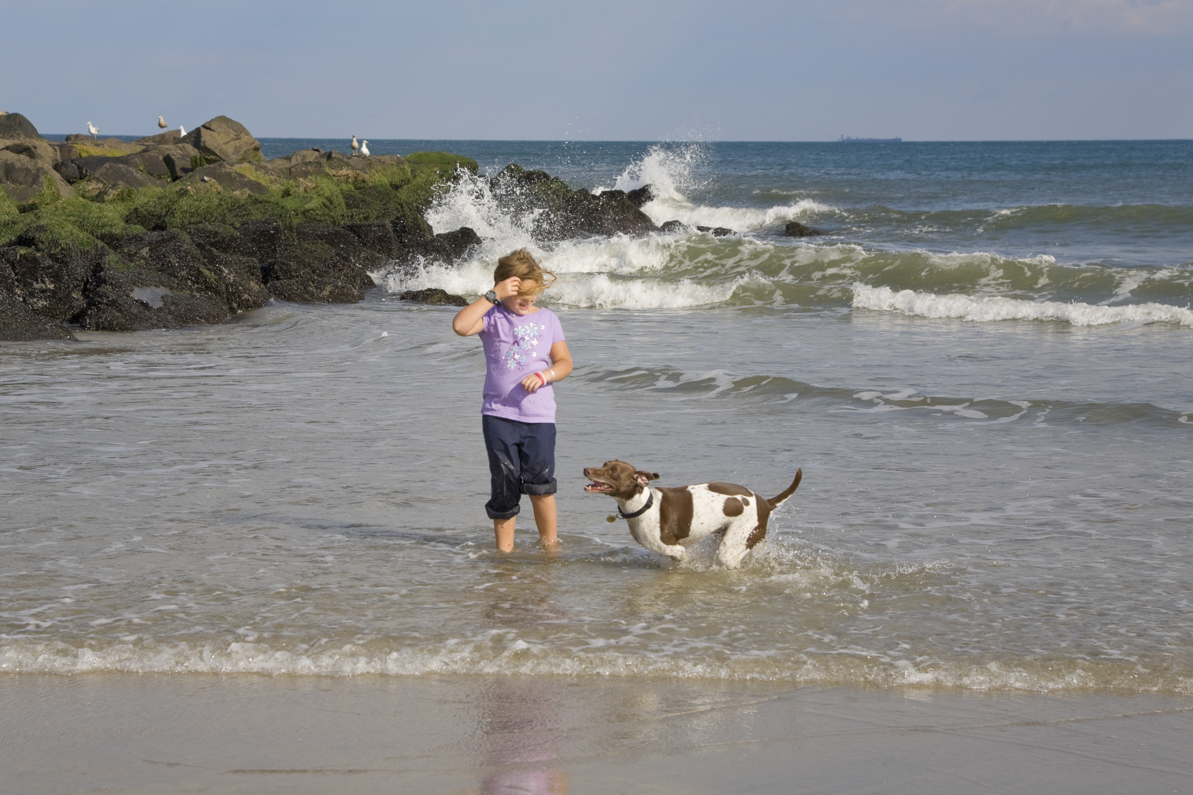 Dog Friendly Spring Lake, NJ