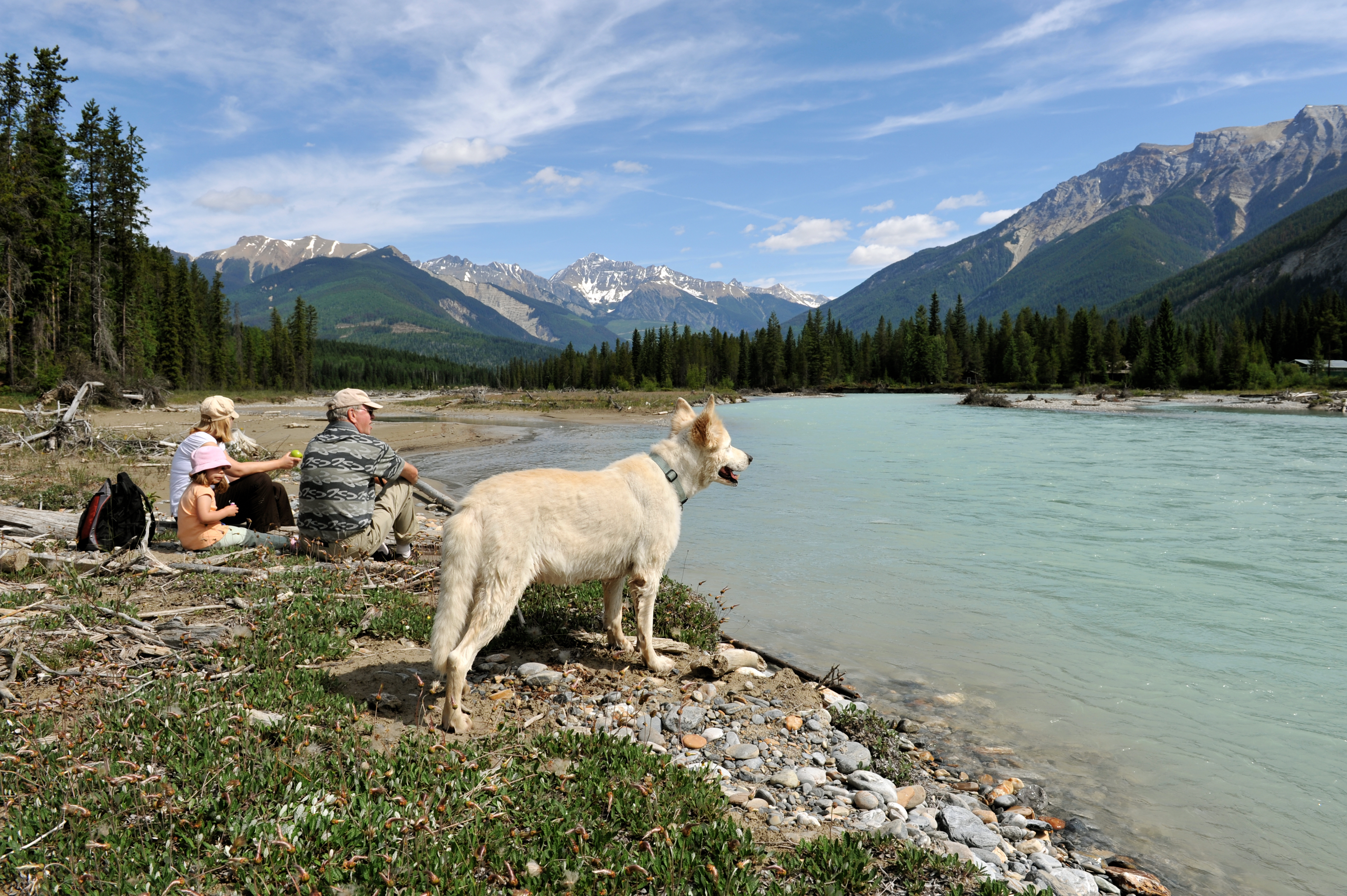 Dog Friendly Golden, BC