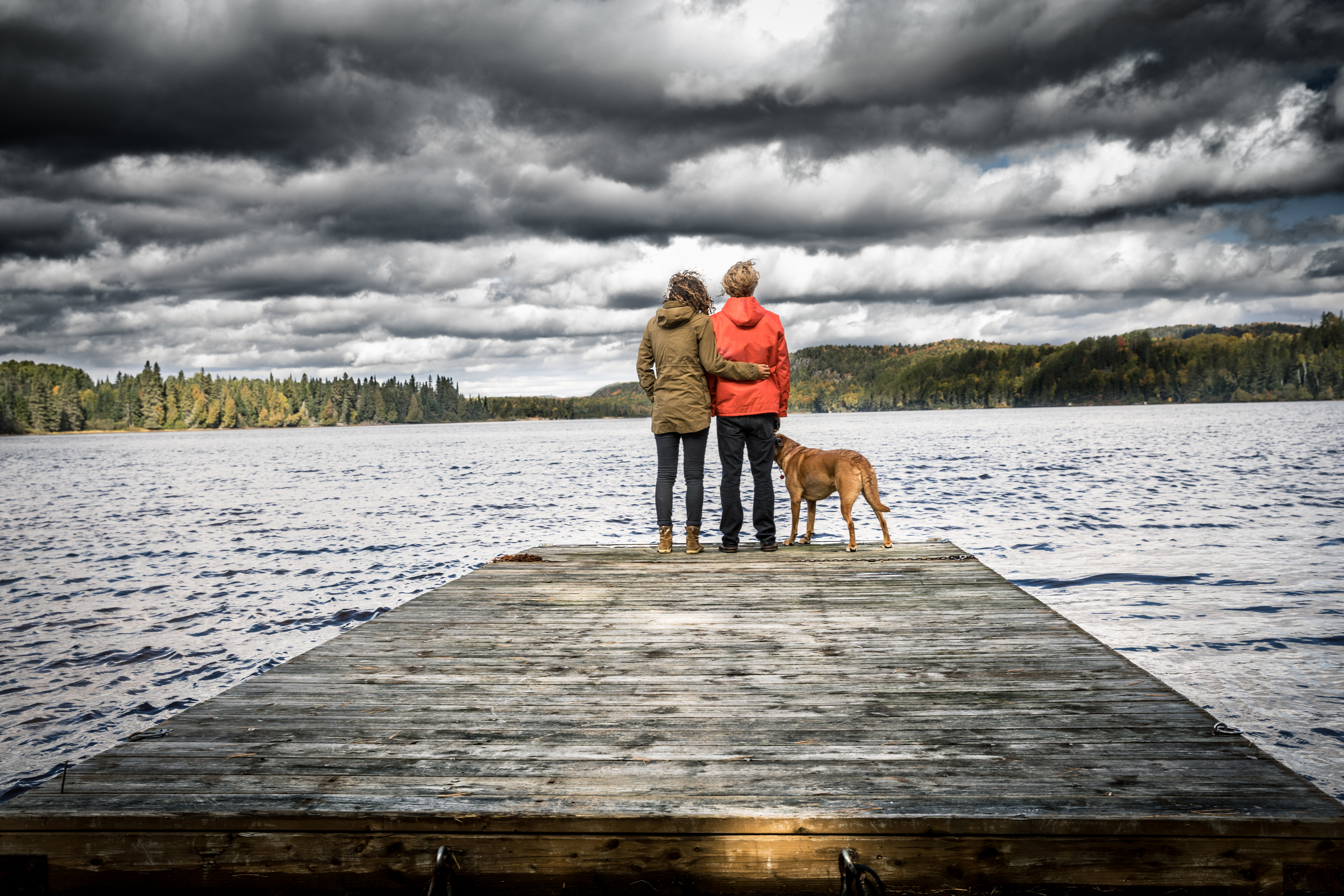 Dog Friendly Algonquin Park, ON