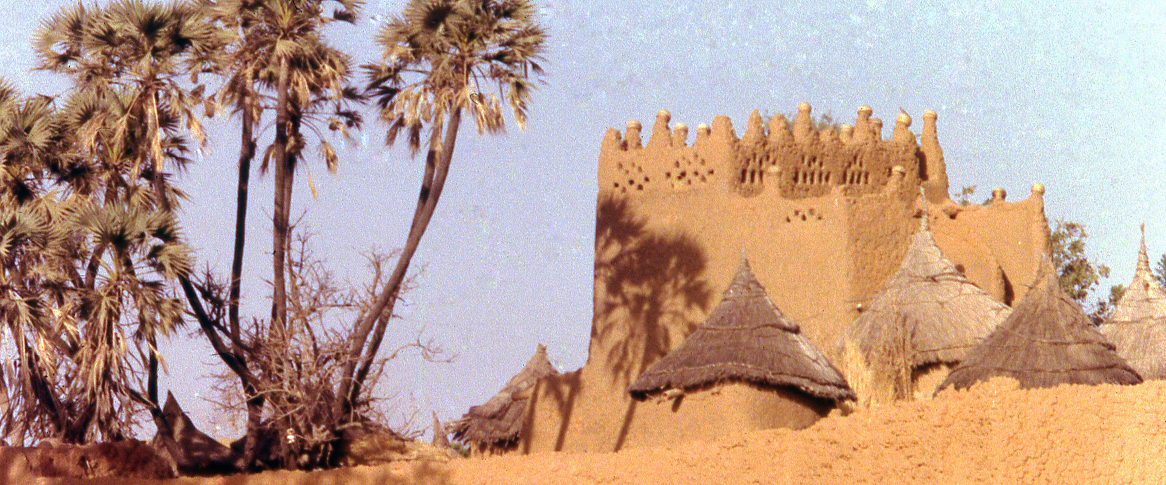 Dog Friendly Burkina Faso