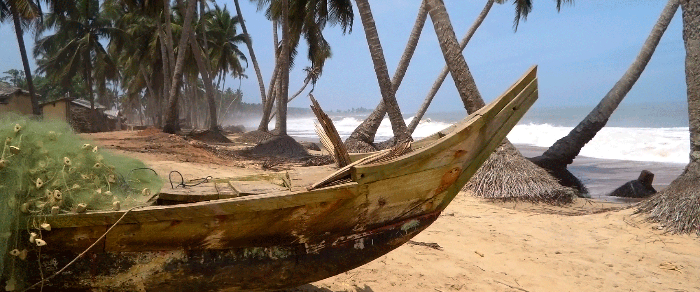 Dog Friendly Ghana