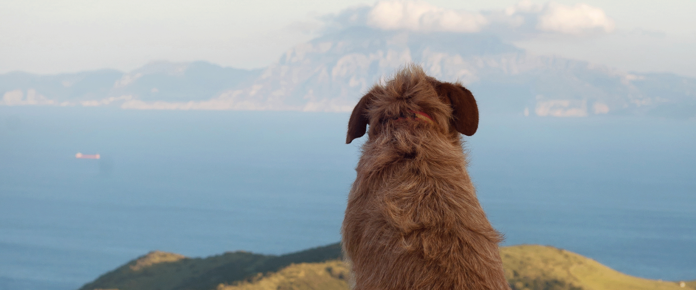 Dog Friendly Gibraltar