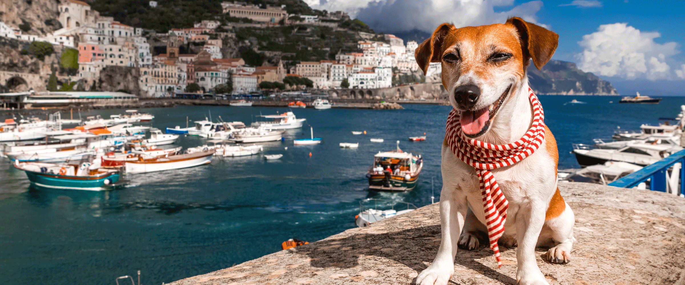 Dog Friendly Italy