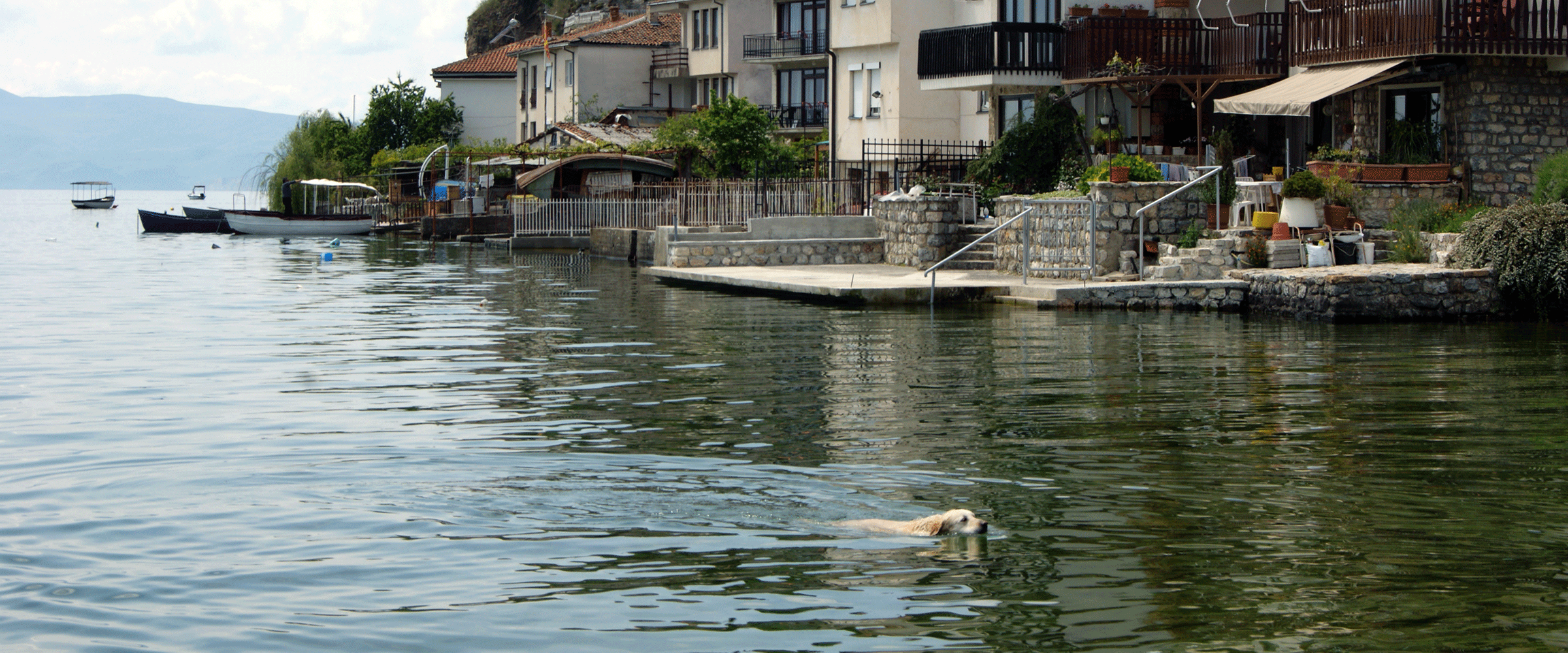 Dog Friendly F.Y.R.O. Macedonia