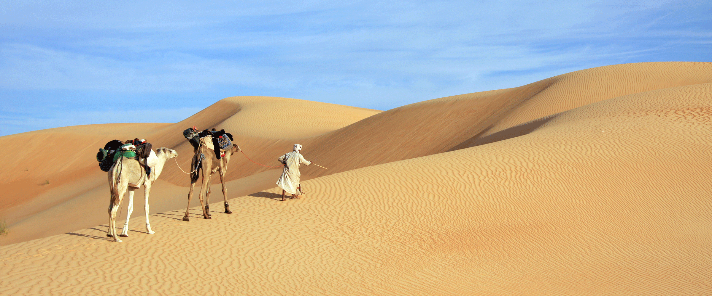 Dog Friendly Mauritania