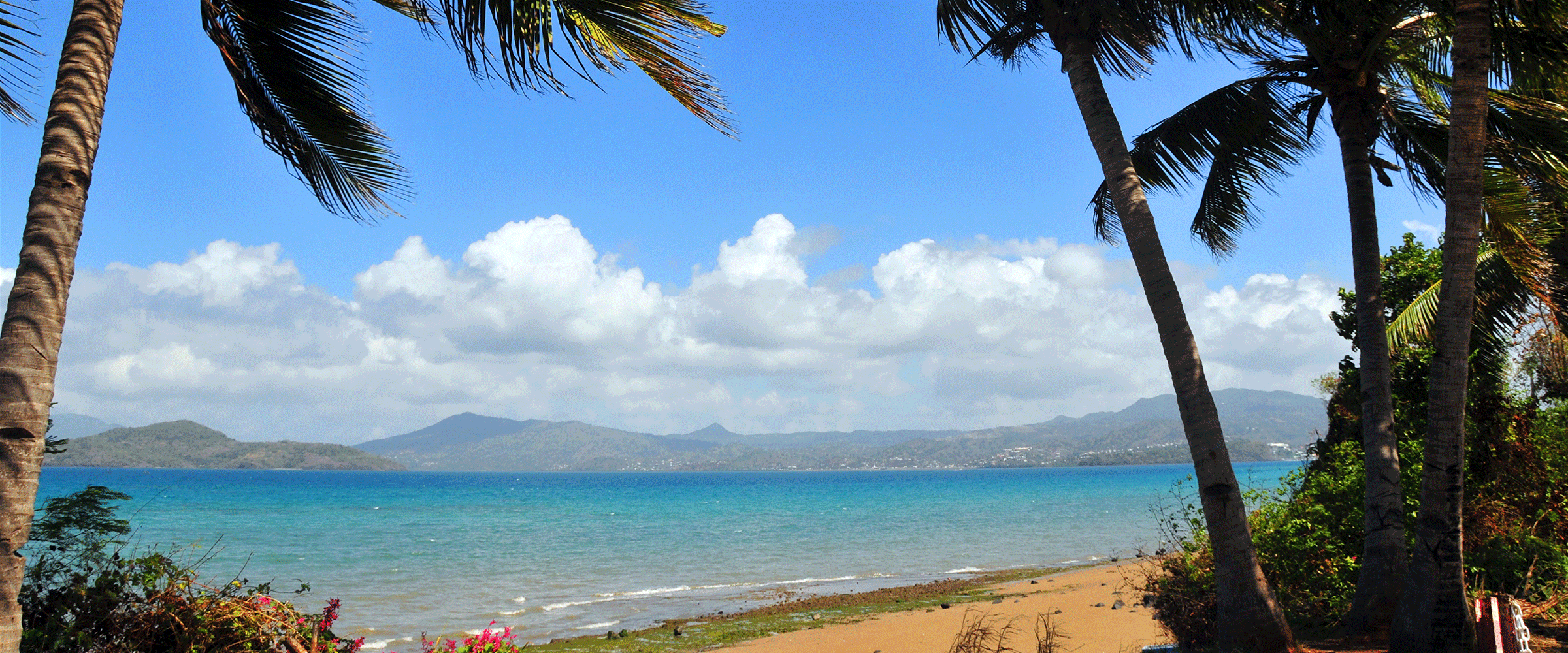 Dog Friendly Mayotte