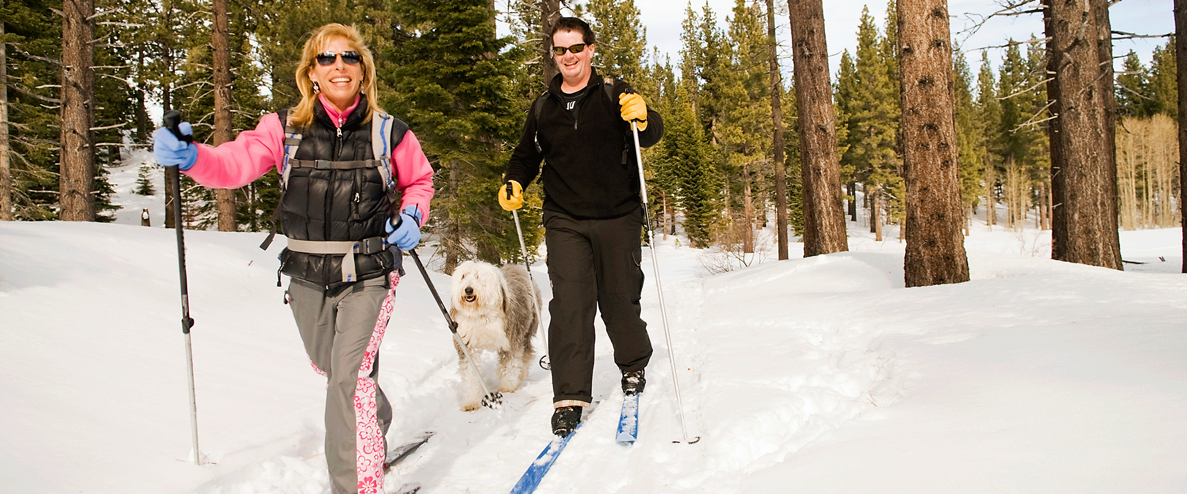 Dog Friendly Minnesota