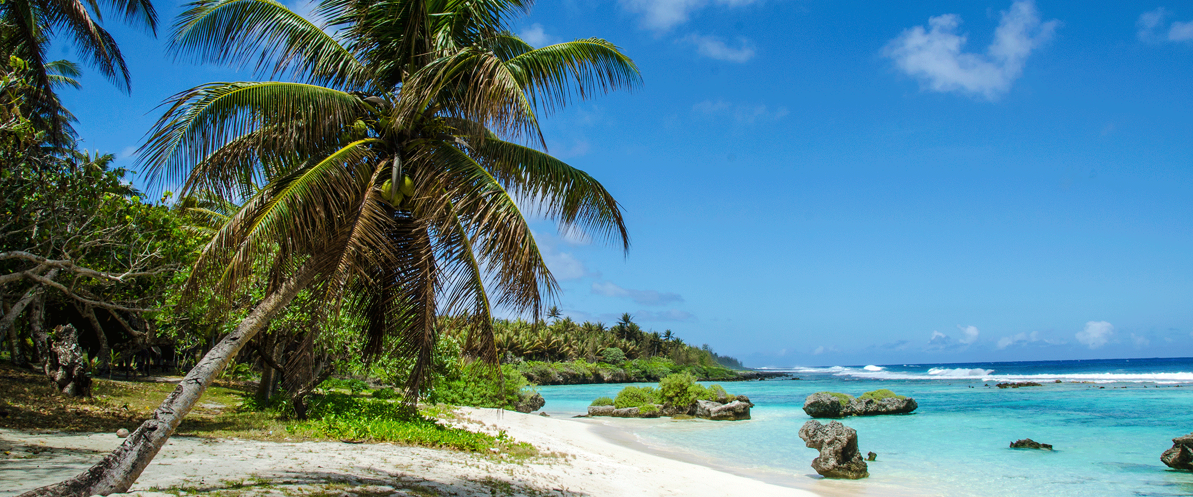 Dog Friendly Northern Mariana Islands