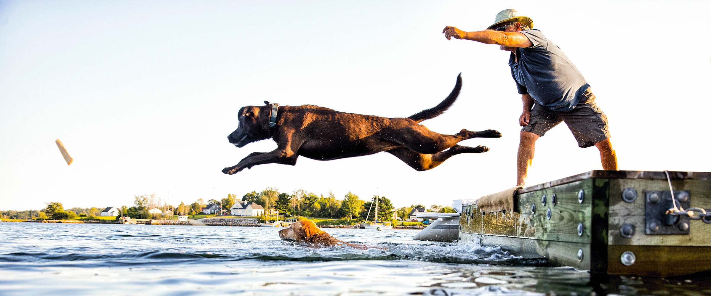 Dog Friendly Nova Scotia