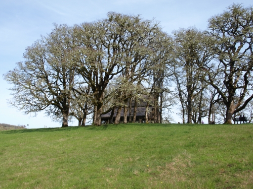 Pet Friendly Bald Hill Natural Area