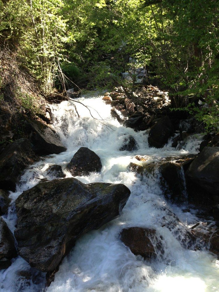 Pet Friendly Pitkin Lake Trail
