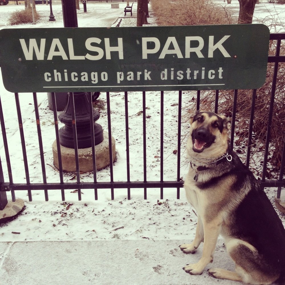 Walsh Dog Friendly Area