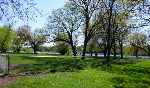 A view of the fenced-in pet-friendly Wilson Park in St Cloud, MN.