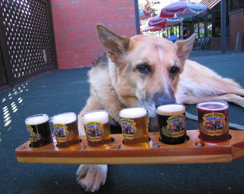 Pet Friendly The Vermont Pub & Brewery